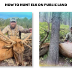 how to hunt elk on public land