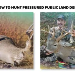 how to hunt pressured public land deer