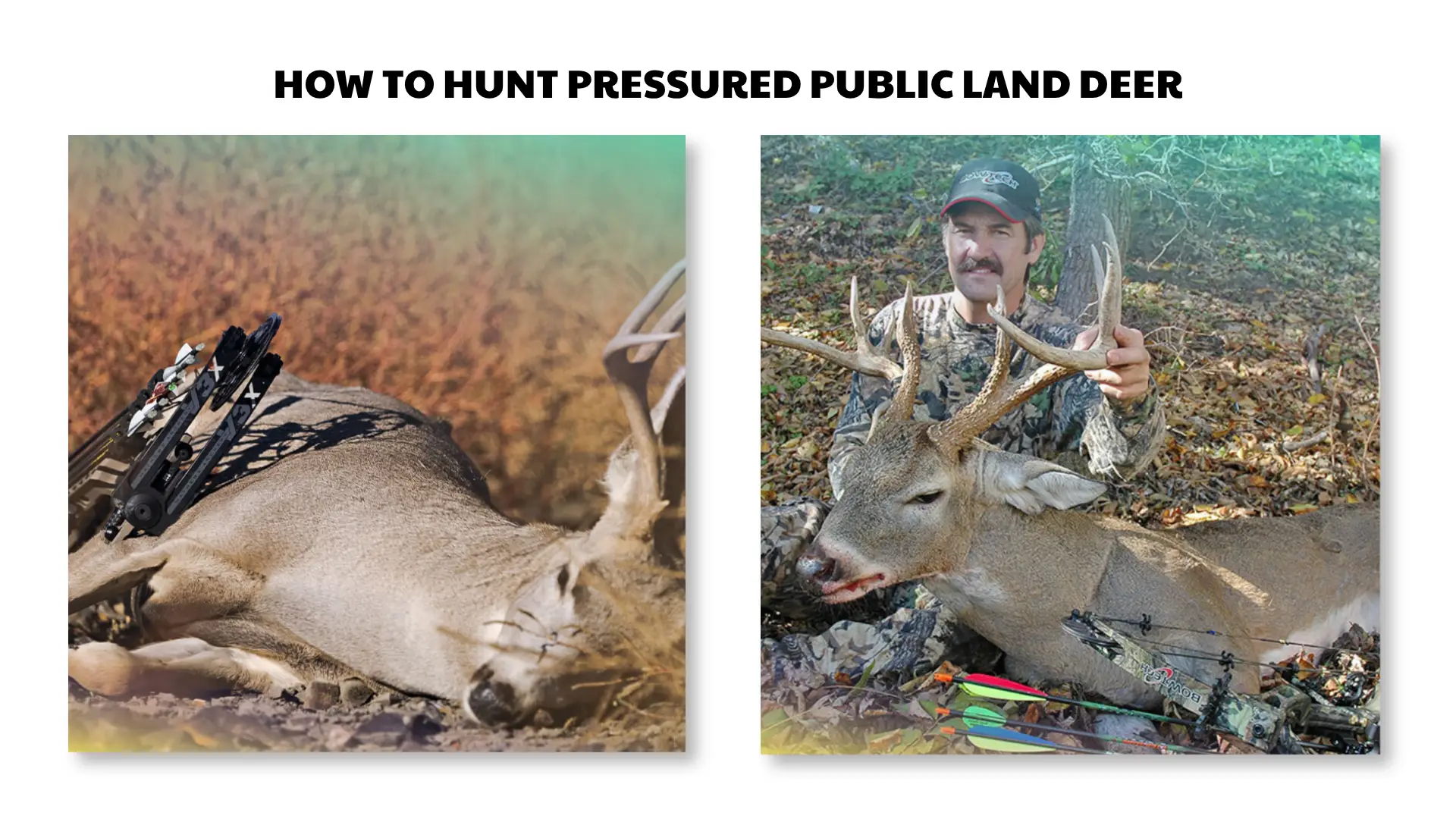 how to hunt pressured public land deer