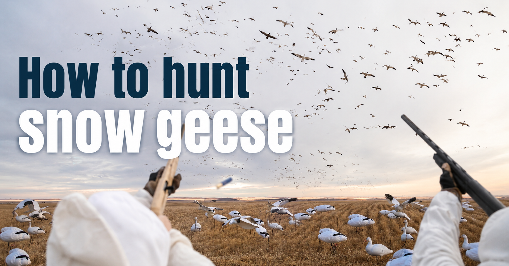 how to hunt snow geese