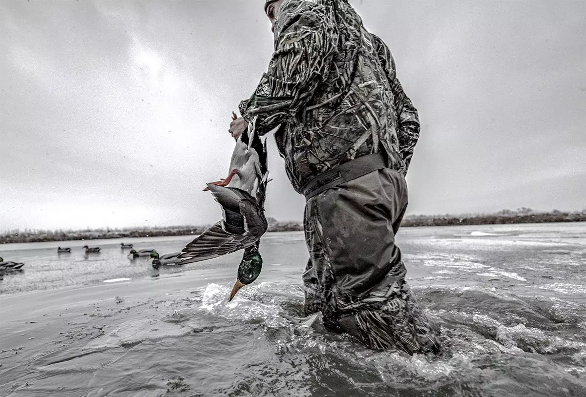 what are the biggest duck hunting myths