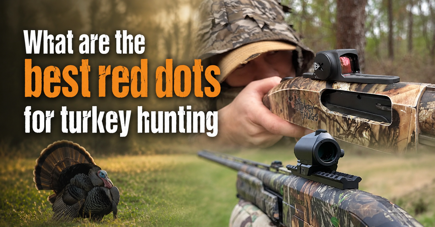 what are the best red dots for turkey hunting