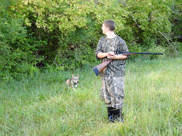 how to hunt small game