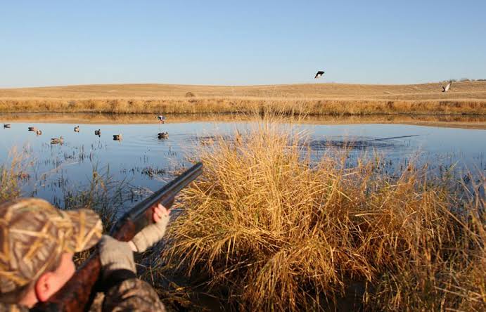 how to hunt small game