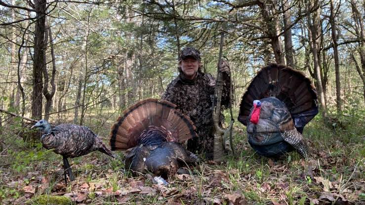 how to hunt spring turkey