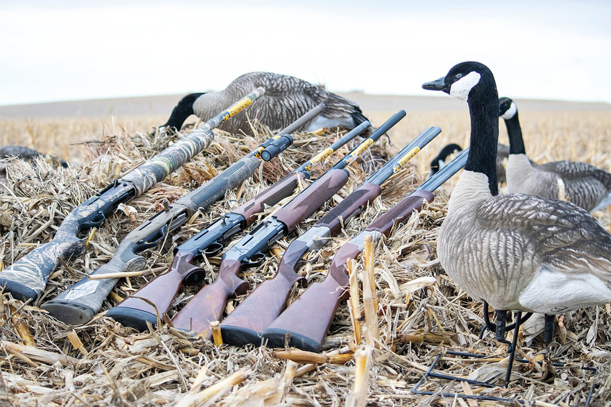 what are the best goose hunting tips