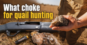 what-choke-for-quail-hunting