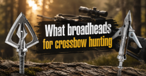 what-broadheads-for-crossbow-hunting