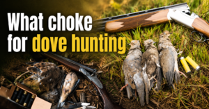 what-choke-for-dove-hunting