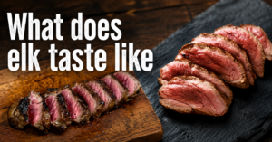 what-does-elk-taste-like