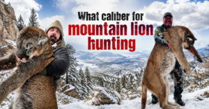 what-caliber-for-mountain-lion-hunting