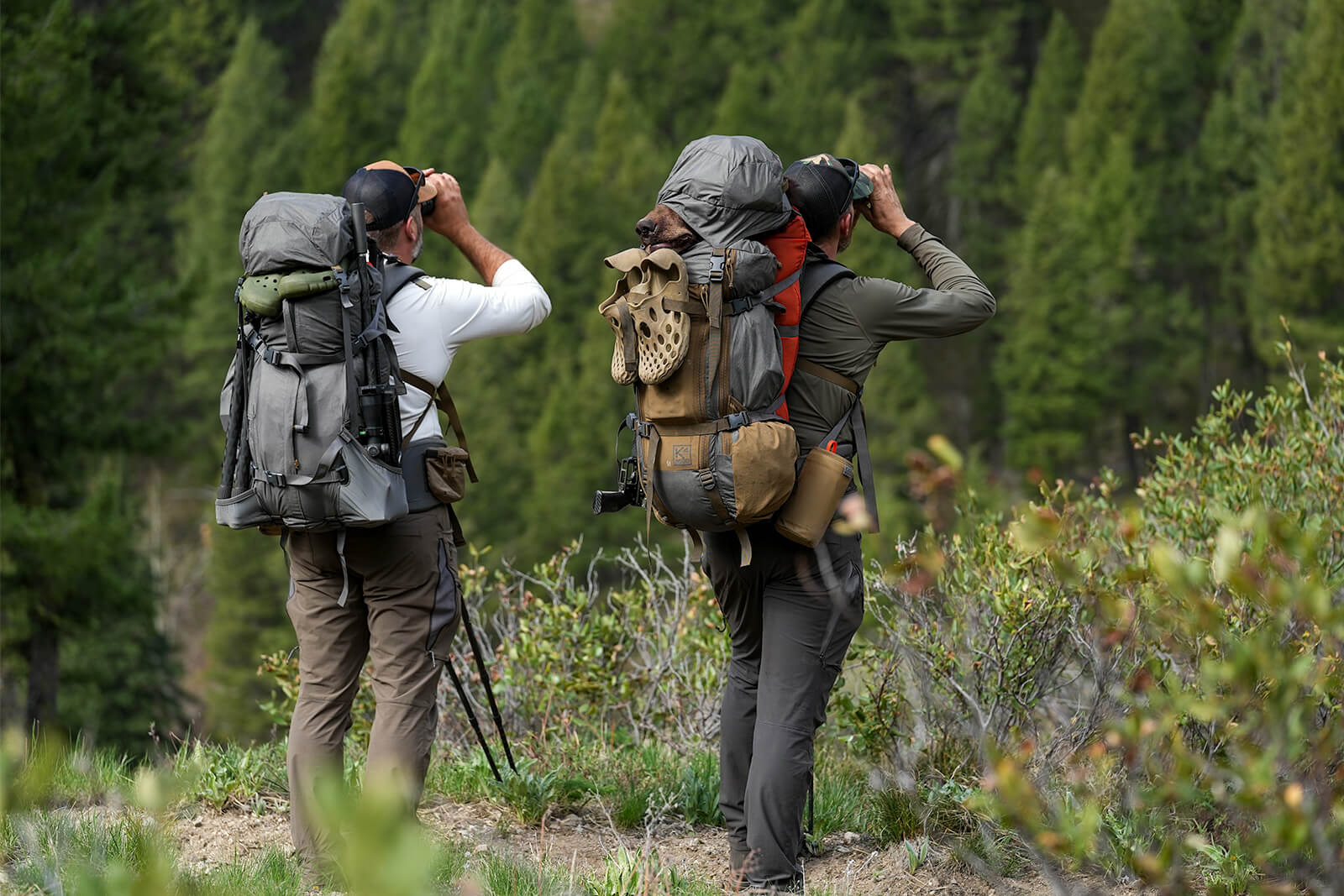 what-gear-do-you-need-for-bear-hunting