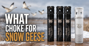 what-choke-for-snow-geese