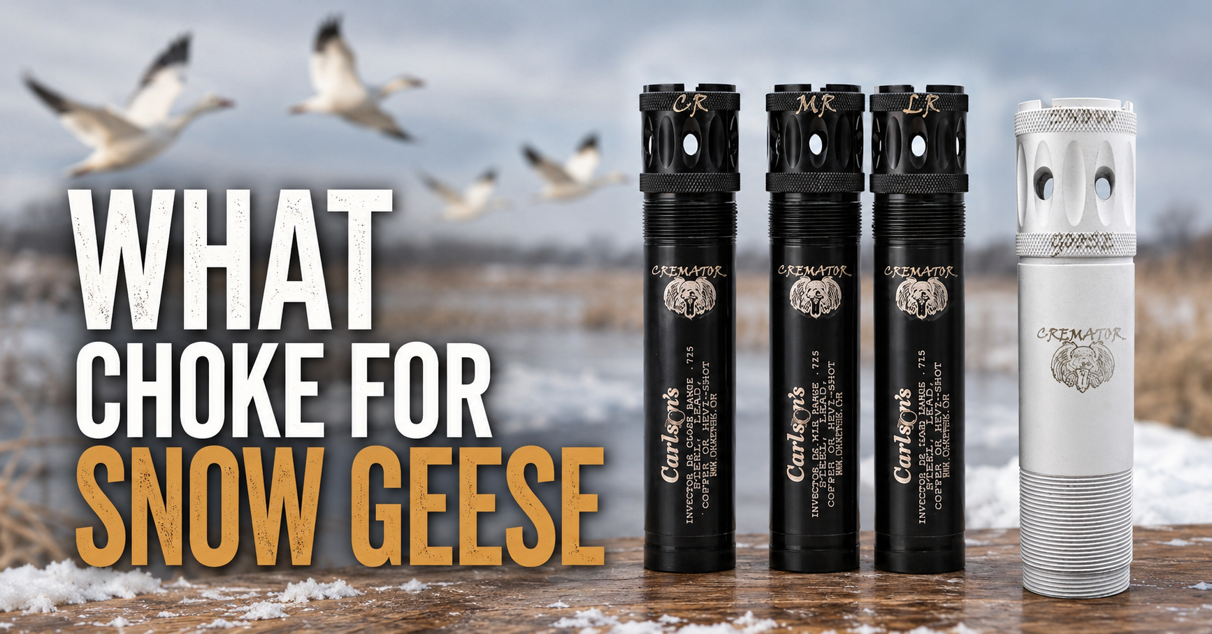 what-choke-for-snow-geese