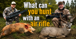 what-can-you-hunt-with-an-air-rifle
