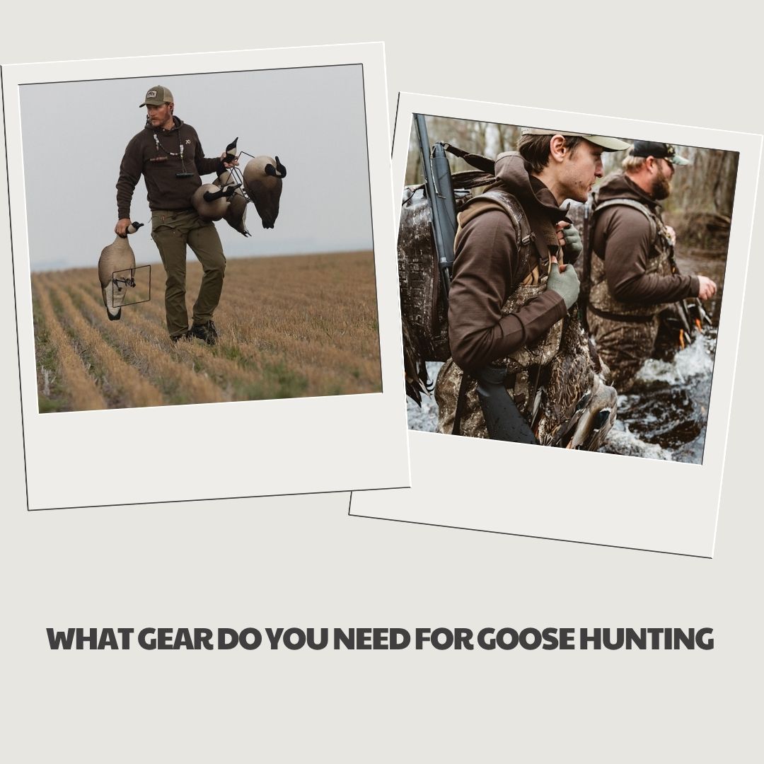 what-gear-do-you-need-for-goose-hunting