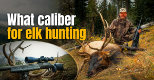 what caliber for elk hunting