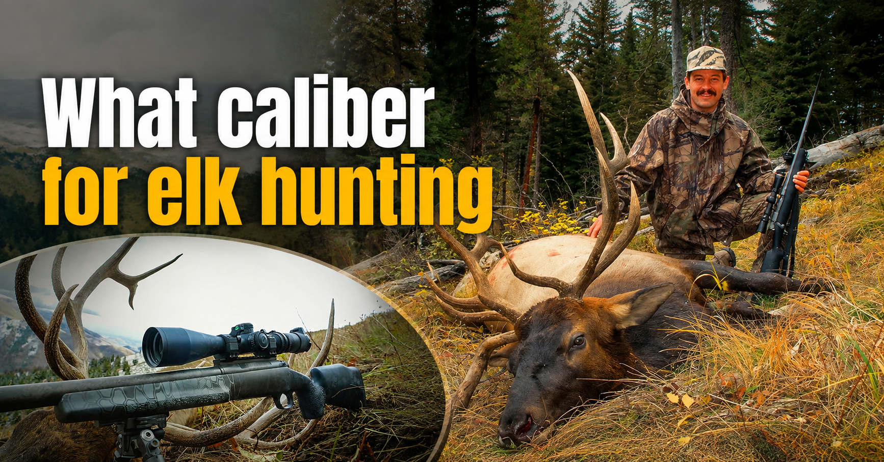 what caliber for elk hunting