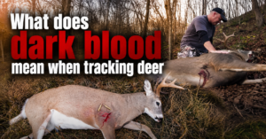 what-does-dark-blood-mean-when-tracking-deer