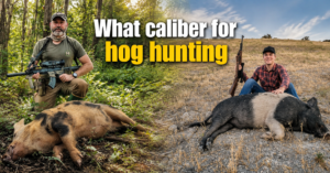 what-caliber-for-hog-hunting