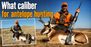 what-caliber-for-antelope-hunting