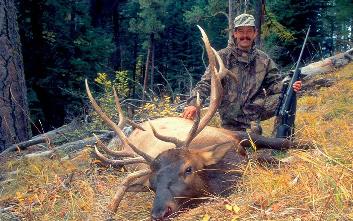 what caliber for elk hunting