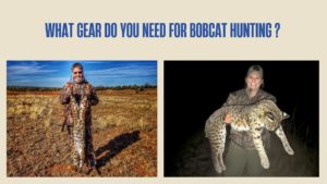 what-gear-do-you-need-for-bobcat-hunting