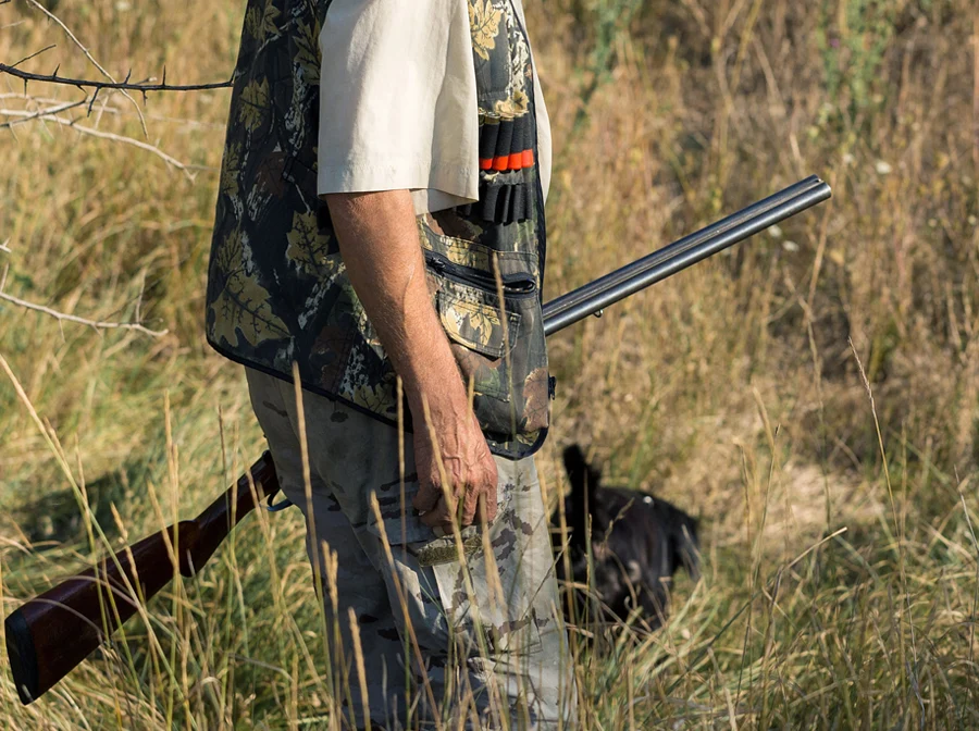 what-gear-do-you-need-for-dove-hunting