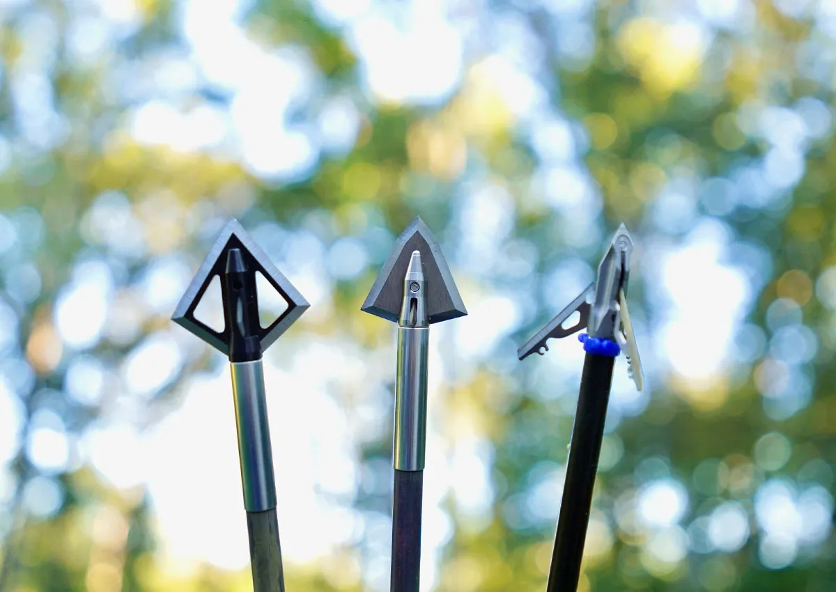 what-broadheads-for-deer-hunting