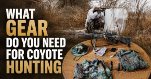 what-gear-do-you-need-for-coyote-hunting