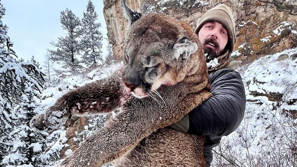 what-caliber-for-mountain-lion-hunting