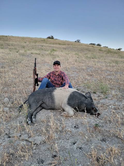 what-caliber-for-hog-hunting