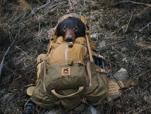 what-gear-do-you-need-for-bear-hunting