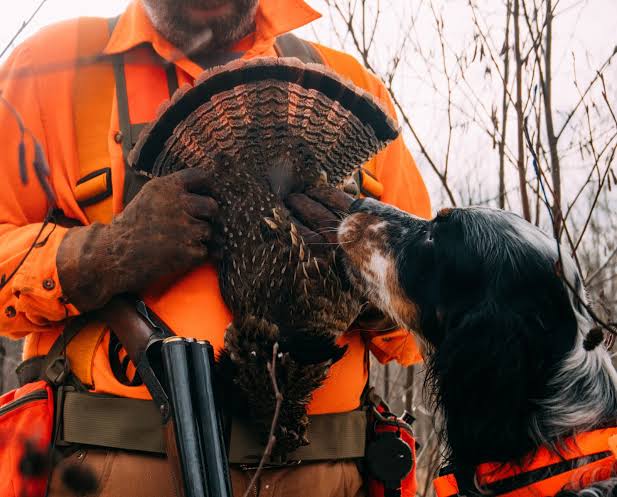 what-choke-for-grouse-hunting