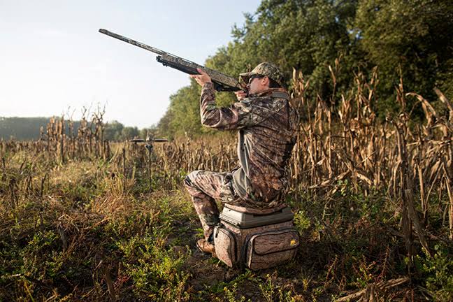 what-gear-do-you-need-for-dove-hunting
