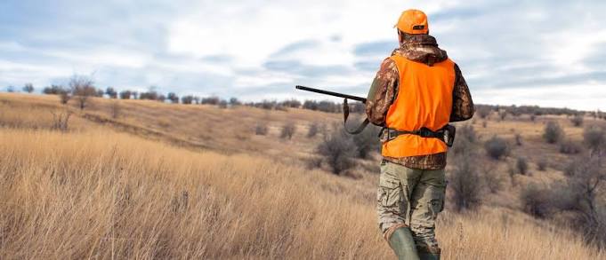 what-do-you-learn-in-hunter-safety