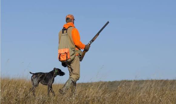 what-do-you-learn-in-hunter-safety