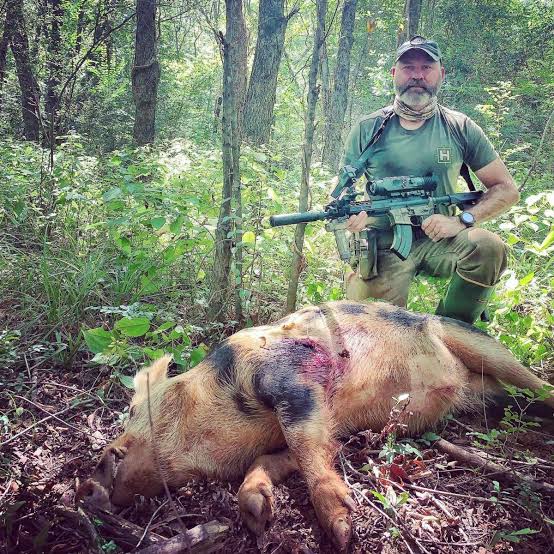 what-caliber-for-hog-hunting