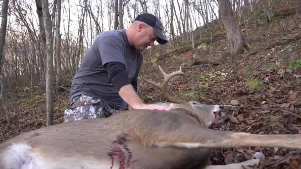what-does-dark-blood-mean-when-tracking-deer