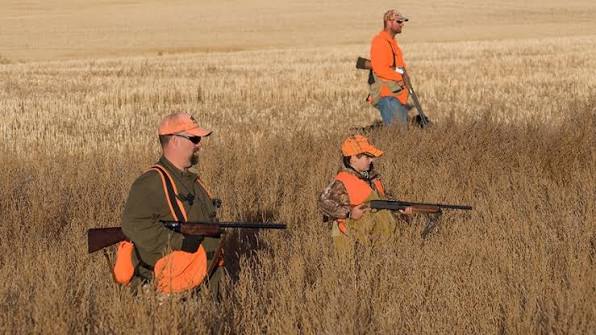 what-color-orange-for-hunting