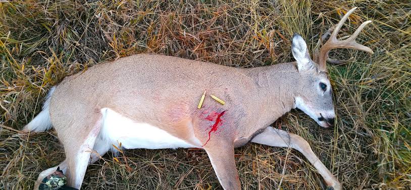 what-does-dark-blood-mean-when-tracking-deer