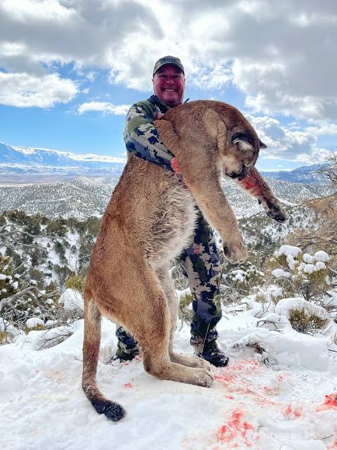 what-caliber-for-mountain-lion-hunting