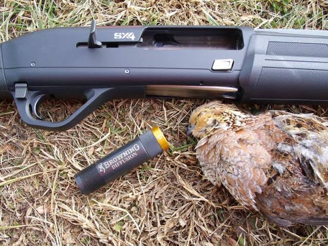 what-choke-for-quail-hunting