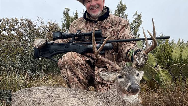what-can-you-hunt-with-an-air-rifle