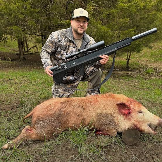 what-can-you-hunt-with-an-air-rifle