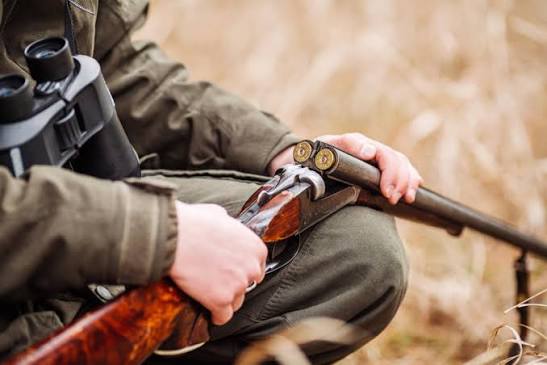 what-gear-do-you-need-for-alligator-hunting