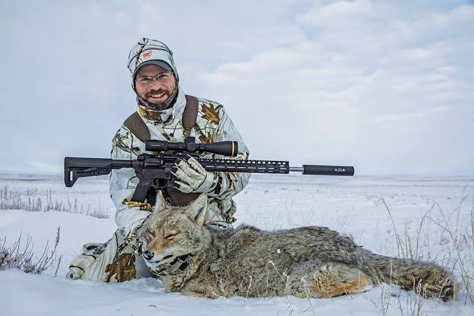 what-caliber-for-predator-hunting