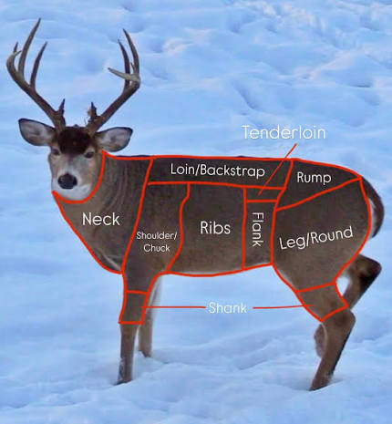 what-cuts-of-meat-are-on-a-deer