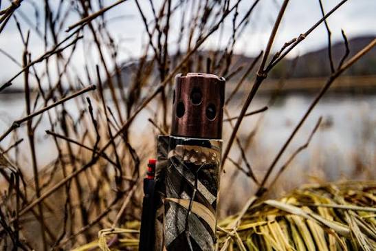what choke for goose hunting