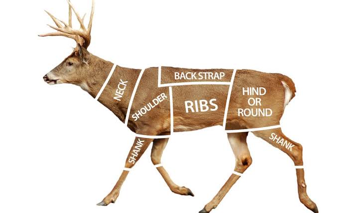 what-cuts-of-meat-are-on-a-deer